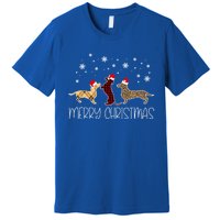 Dachshund Merry Christmas Cute Plaid Leopard Doxie Dog XMas Meaningful Gift Premium T-Shirt