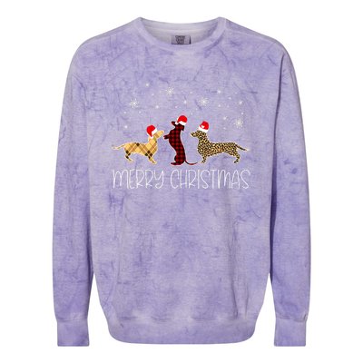 Dachshund Merry Christmas Cute Plaid Leopard Doxie Dog Xmas Colorblast Crewneck Sweatshirt