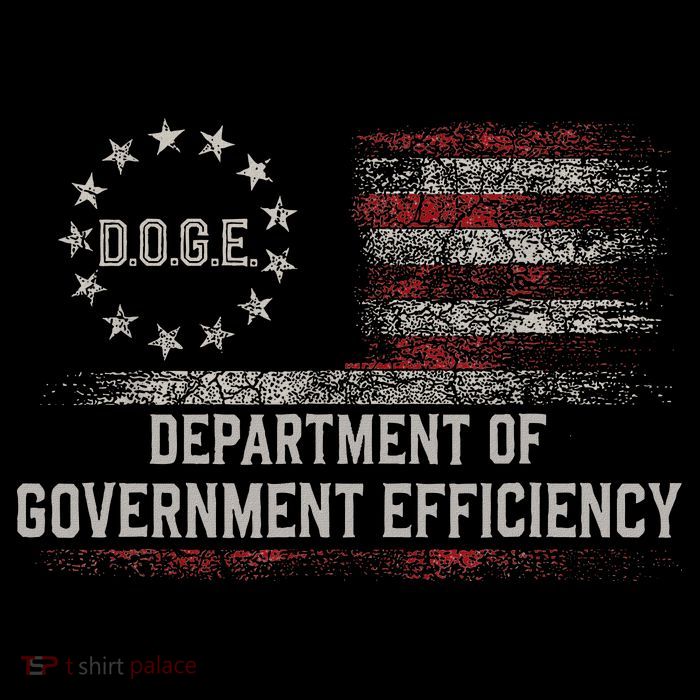 Doge Meme D.O.G.E. Department Of Government Efficiency Magnet