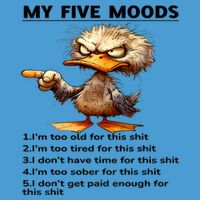 Duck My Five Moods I'm Too Old For This Shit I'm Too Tired  Tie Dye Hoodie