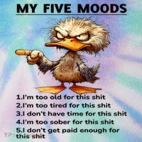 Duck My Five Moods I'm Too Old For This Shit I'm Too Tired  Legacy Tie Dye Trucker Hat