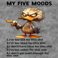 Duck My Five Moods I'm Too Old For This Shit I'm Too Tired  Hooded Wearable Blanket