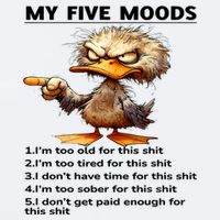 Duck My Five Moods I'm Too Old For This Shit I'm Too Tired  Sueded Cloud Jersey T-Shirt