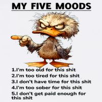 Duck My Five Moods I'm Too Old For This Shit I'm Too Tired  Toddler Long Sleeve Shirt