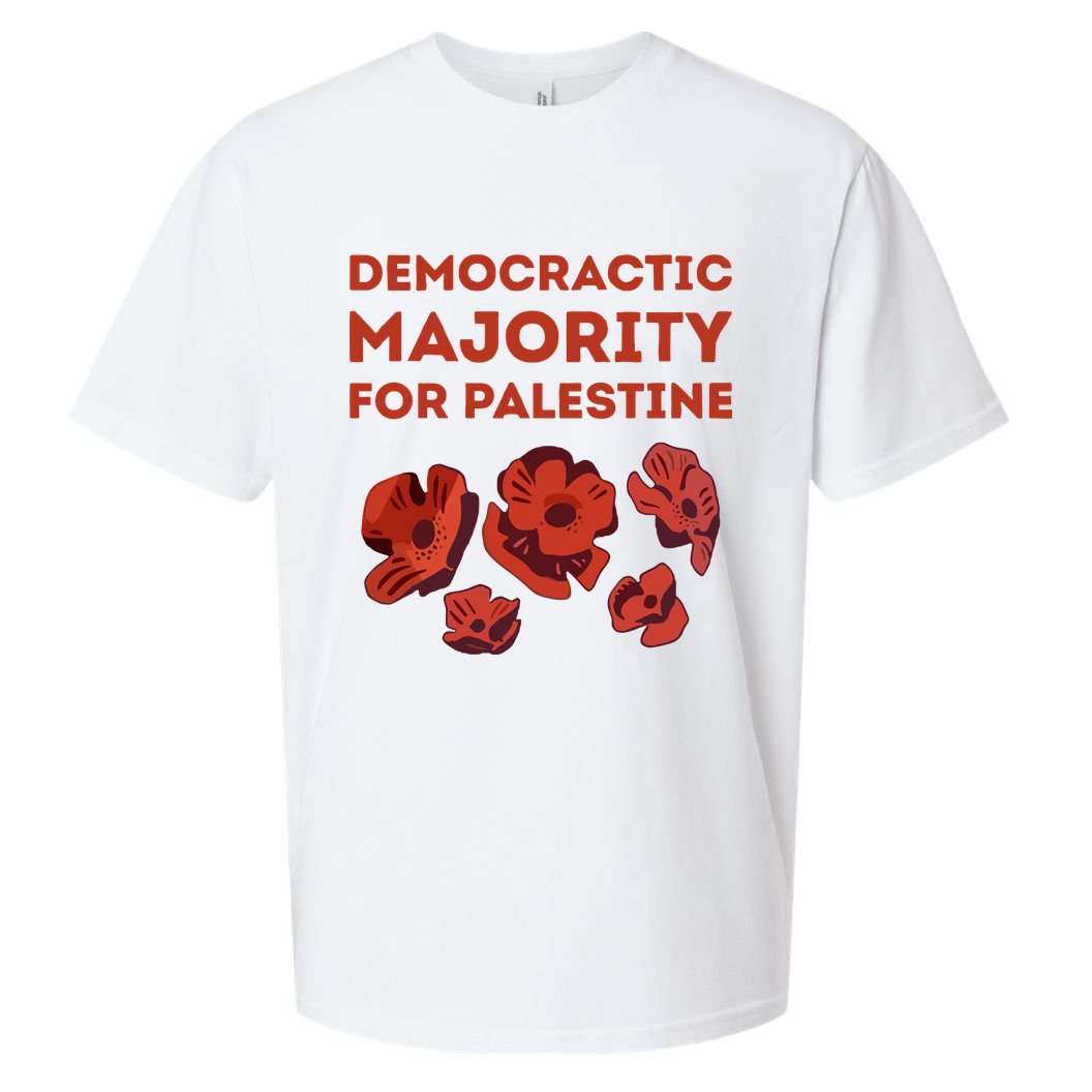 Democratic Majority For Palestine Sueded Cloud Jersey T-Shirt