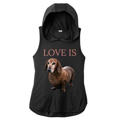 Dachshund Meaningful Gift Dog Mom Dad Gift Doxie Funny Gift Great Gift Ladies PosiCharge Tri-Blend Wicking Draft Hoodie Tank