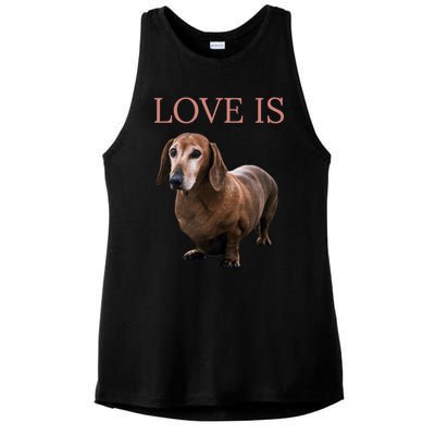 Dachshund Meaningful Gift Dog Mom Dad Gift Doxie Funny Gift Great Gift Ladies PosiCharge Tri-Blend Wicking Tank