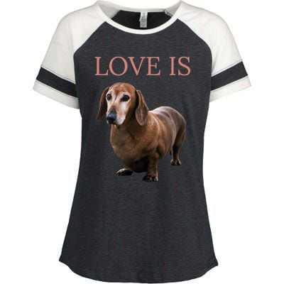 Dachshund Meaningful Gift Dog Mom Dad Gift Doxie Funny Gift Great Gift Enza Ladies Jersey Colorblock Tee