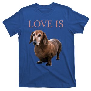 Dachshund Meaningful Gift Dog Mom Dad Gift Doxie Funny Gift Great Gift T-Shirt