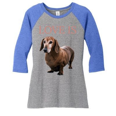 Dachshund Meaningful Gift Dog Mom Dad Gift Doxie Funny Gift Great Gift Women's Tri-Blend 3/4-Sleeve Raglan Shirt