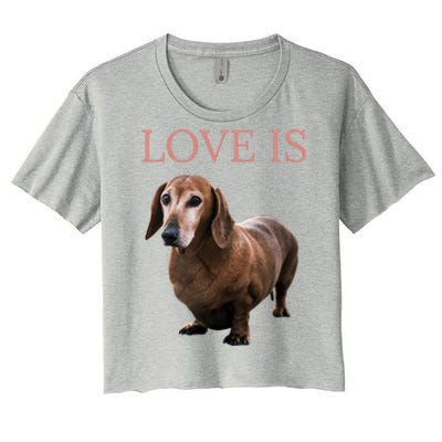 Dachshund Meaningful Gift Dog Mom Dad Gift Doxie Funny Gift Great Gift Women's Crop Top Tee