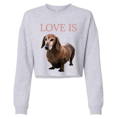 Dachshund Meaningful Gift Dog Mom Dad Gift Doxie Funny Gift Great Gift Cropped Pullover Crew