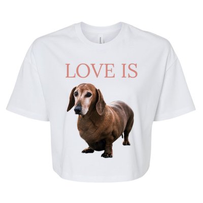 Dachshund Meaningful Gift Dog Mom Dad Gift Doxie Funny Gift Great Gift Bella+Canvas Jersey Crop Tee