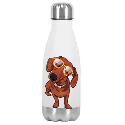 Dachshund Meaningful Gift Funny Tee For Cute Dog Lovers Funny Gift Stainless Steel Insulated Water Bottle