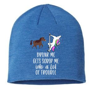 Drunk Me Gets Sober Me Into A Lot Of Trouble Wine Er Gift Sustainable Beanie