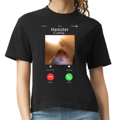 Dank Meme Hamster Staring Front Camera Hamster Calling Gift Comfort Colors Boxy T-Shirt