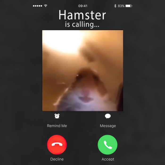 Dank Meme Hamster Staring Front Camera Hamster Calling Gift Adult Drive Performance Visor