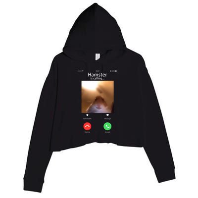 Dank Meme Hamster Staring Front Camera Hamster Calling Gift Crop Fleece Hoodie
