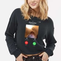 Dank Meme Hamster Staring Front Camera Hamster Calling Gift Cropped Pullover Crew