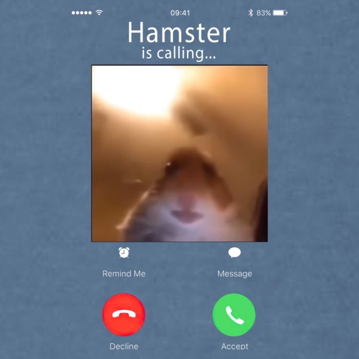 Dank Meme Hamster Staring Front Camera Hamster Calling Gift Garment-Dyed Sweatshirt