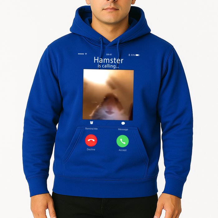 Dank Meme Hamster Staring Front Camera Hamster Calling Gift Hoodie