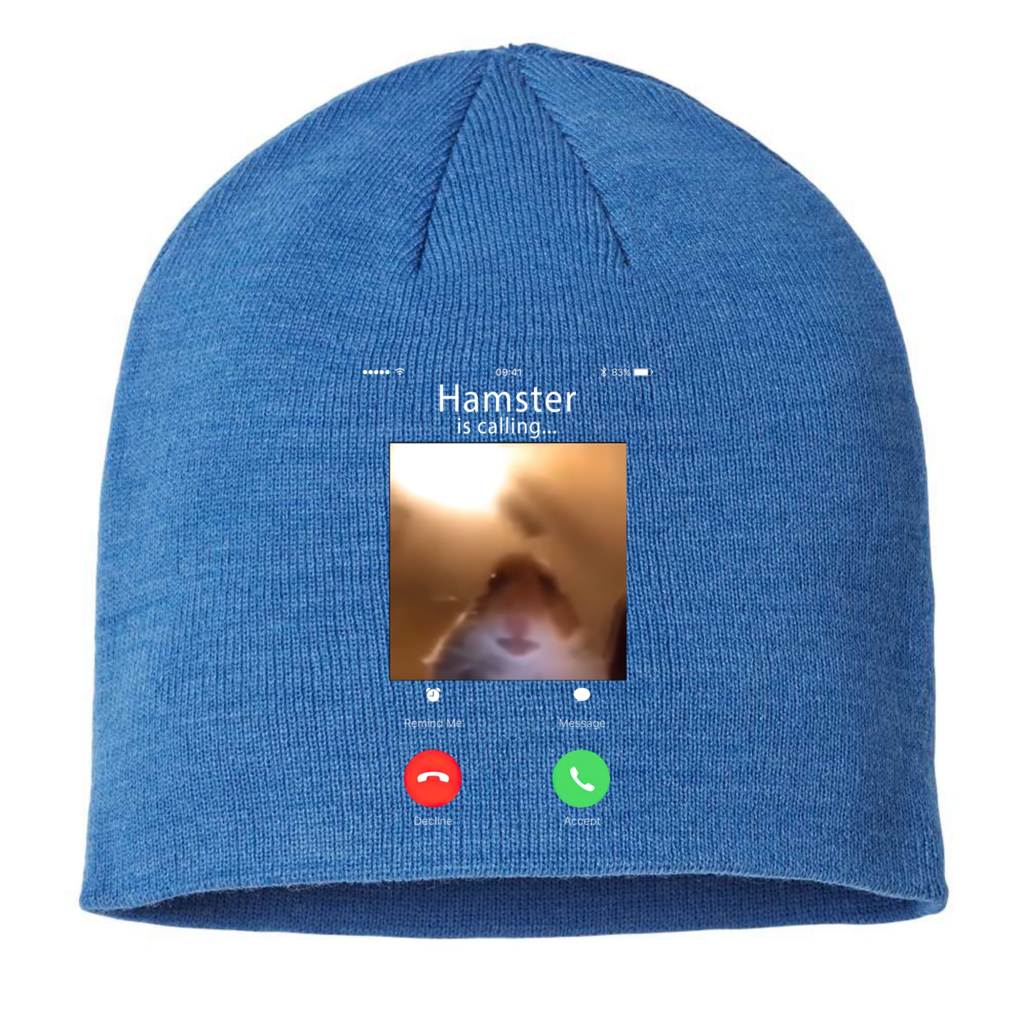Dank Meme Hamster Staring Front Camera Hamster Calling Gift Sustainable Beanie