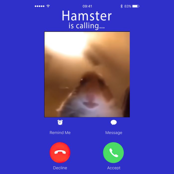 Dank Meme Hamster Staring Front Camera Hamster Calling Gift Mousepad