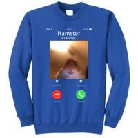 Dank Meme Hamster Staring Front Camera Hamster Calling Gift Tall Sweatshirt