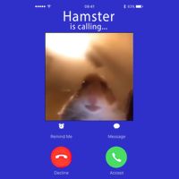 Dank Meme Hamster Staring Front Camera Hamster Calling Gift Tank Top