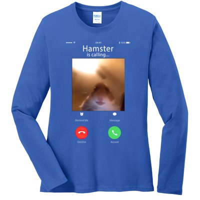 Dank Meme Hamster Staring Front Camera Hamster Calling Gift Ladies Long Sleeve Shirt