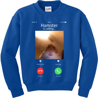 Dank Meme Hamster Staring Front Camera Hamster Calling Gift Kids Sweatshirt