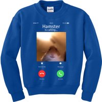 Dank Meme Hamster Staring Front Camera Hamster Calling Gift Kids Sweatshirt