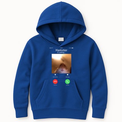 Dank Meme Hamster Staring Front Camera Hamster Calling Gift Kids Hoodie