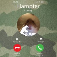 Dank Meme Hamster Staring Front Camera Hampter Calling Legacy Tie Dye Trucker Hat