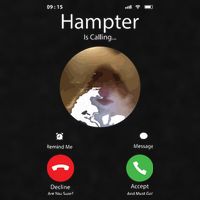 Dank Meme Hamster Staring Front Camera Hampter Calling Ladies PosiCharge Tri-Blend Wicking Tank
