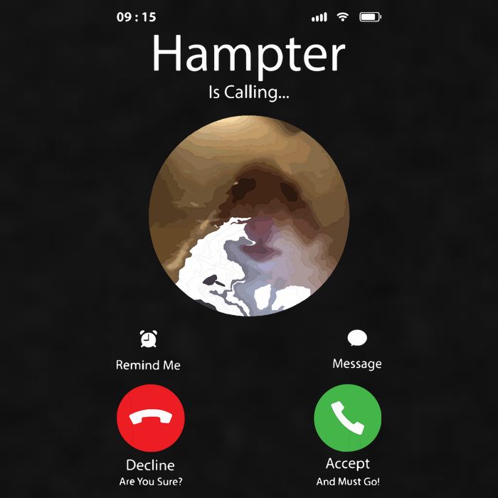 Dank Meme Hamster Staring Front Camera Hampter Calling Ladies PosiCharge Tri-Blend Wicking Tank