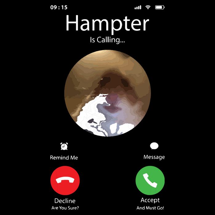 Dank Meme Hamster Staring Front Camera Hampter Calling Backpack