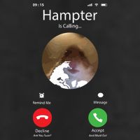 Dank Meme Hamster Staring Front Camera Hampter Calling Trucker Hat