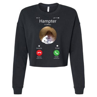 Dank Meme Hamster Staring Front Camera Hampter Calling Cropped Pullover Crew