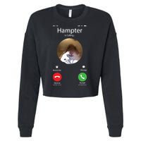 Dank Meme Hamster Staring Front Camera Hampter Calling Cropped Pullover Crew