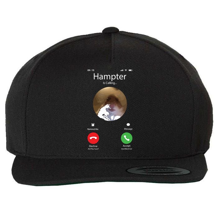 Dank Meme Hamster Staring Front Camera Hampter Calling Wool Snapback Cap