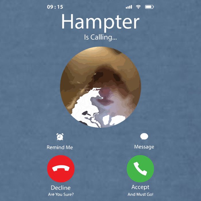 Dank Meme Hamster Staring Front Camera Hampter Calling Garment-Dyed Sweatshirt
