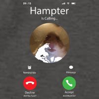 Dank Meme Hamster Staring Front Camera Hampter Calling Vector Backpack