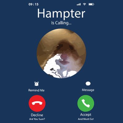 Dank Meme Hamster Staring Front Camera Hampter Calling T-Shirt
