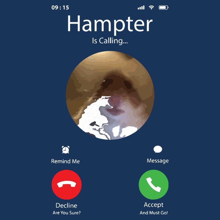 Dank Meme Hamster Staring Front Camera Hampter Calling T-Shirt