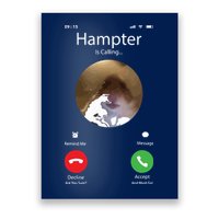 Dank Meme Hamster Staring Front Camera Hampter Calling Poster
