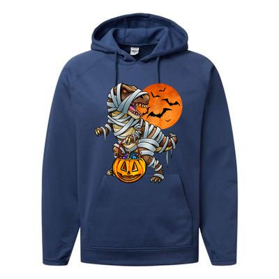 Dinosaur Mummy Halloween Kids Boy Girl Performance Fleece Hoodie