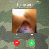 Dank Meme Hamster Staring Front Camera Hamster Calling Gift Legacy Tie Dye Trucker Hat