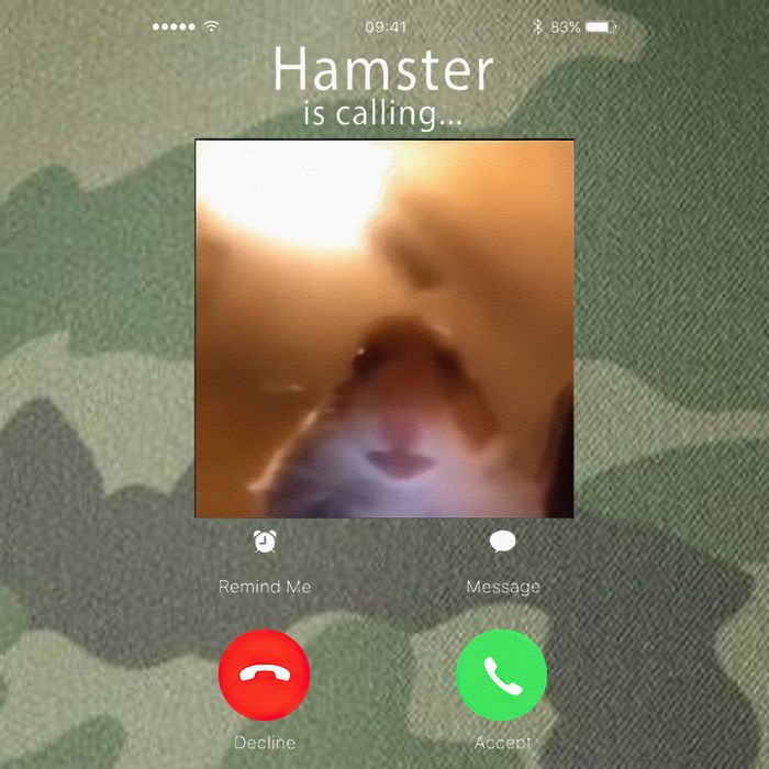 Dank Meme Hamster Staring Front Camera Hamster Calling Gift Legacy Tie Dye Trucker Hat