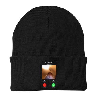 Dank Meme Hamster Staring Front Camera Hamster Calling Gift Beanie